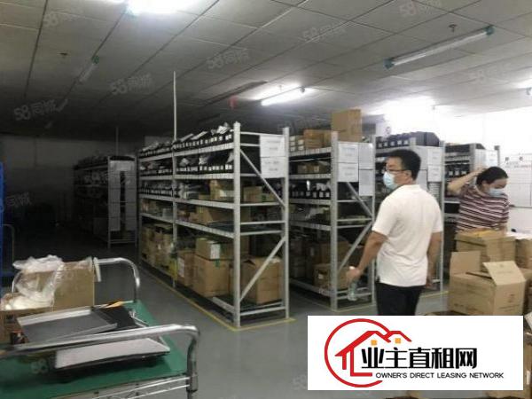  光明新出红本高新科技园新出4000平厂房可申请补贴