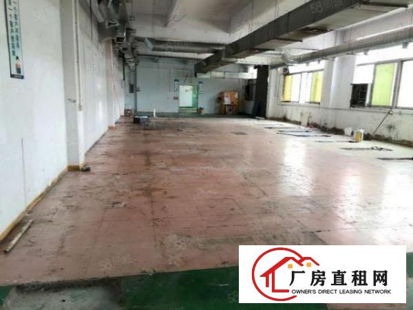  （楼上整层1200平精装厂房出租，公明蒋石）公明光明