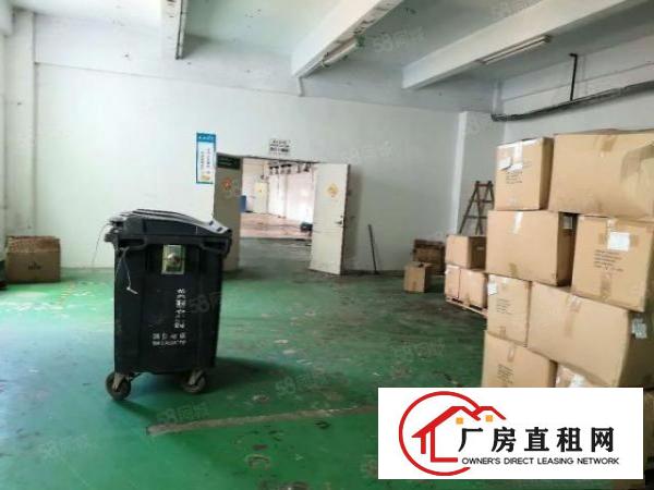  （楼上整层1200平精装厂房出租，公明蒋石）公明光明