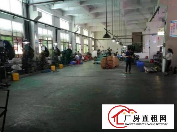  公明大围社区出租厂房一楼楼800平，6米高