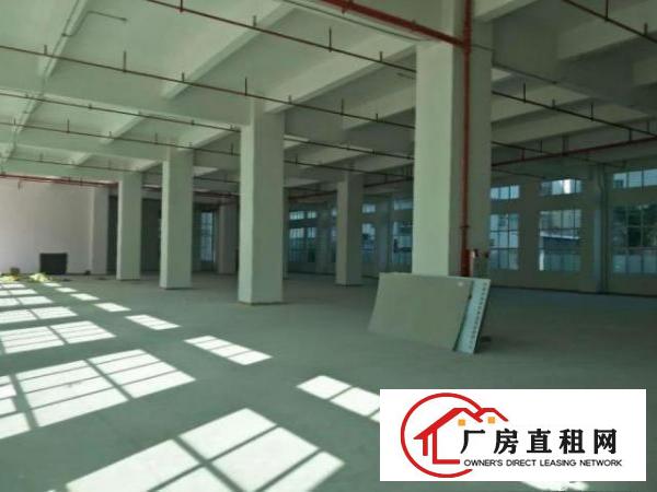  公明根竹园社区一楼1500平原房东厂房500平分租