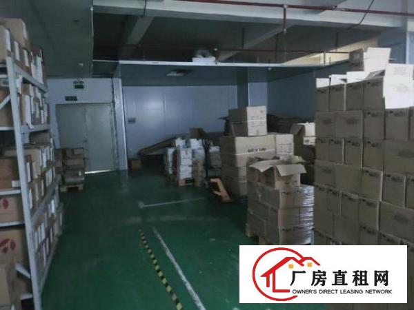  楼村公常路边上，精装修厂房