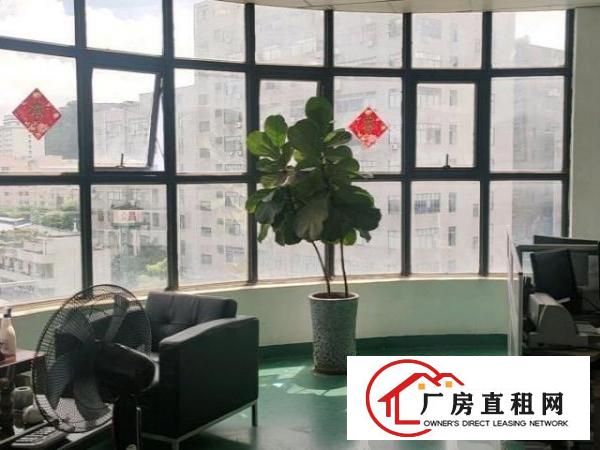  楼村公常路边上，精装修厂房
