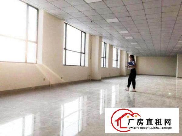  笋盘公明将石楼上厂房1100方，现成办公室隔热板，拎包生产