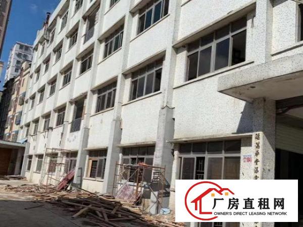  公明下村大型园区厂房出租，可分租