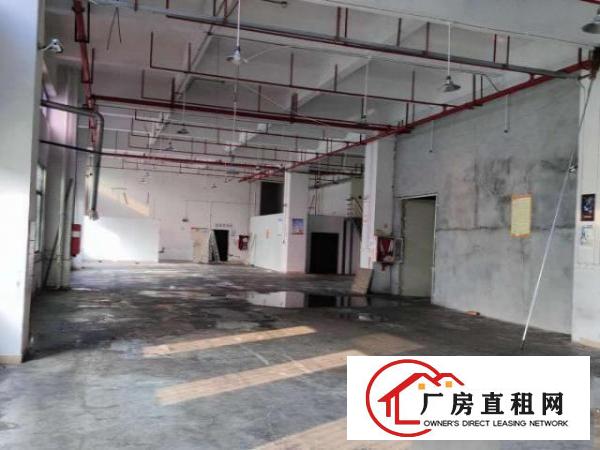  厂房诚意招租！位于北环大道金安大厦。1100平方有阁楼办公室