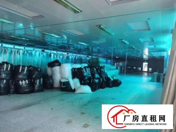  公明马山头楼上整层无尘车间2000平，有办公室装修，