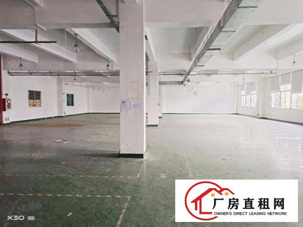  深圳公明楼村3000平米带装修厂房业主直租