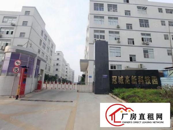  深圳公明楼村3000平米带装修厂房业主直租