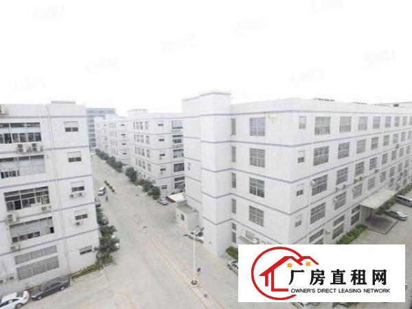  深圳公明楼村3000平米带装修厂房业主直租