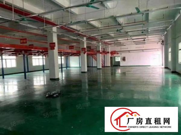  公明北环路1楼1600平，空地超大，高6米，停车位充足
