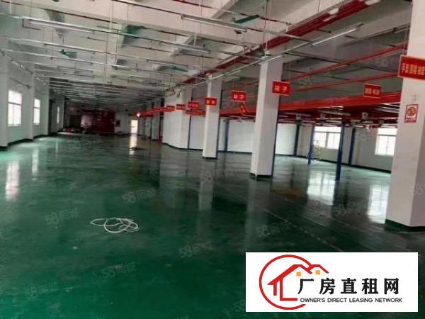  公明北环路1楼1600平，空地超大，高6米，停车位充足