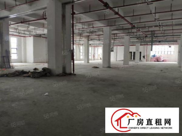  公明上村新出一楼800平精装厂房