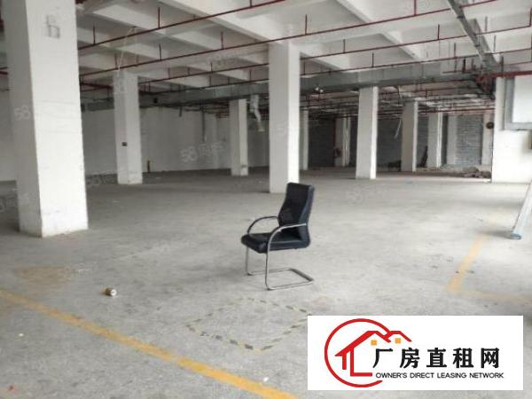  公明上村新出一楼800平精装厂房