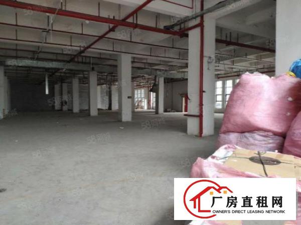  公明上村新出一楼800平精装厂房