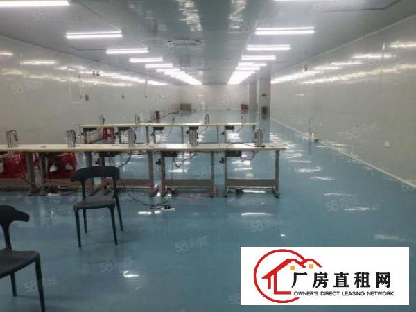  光明区公明龙大高速出口附近新出原房东楼上1500平厂房可分租