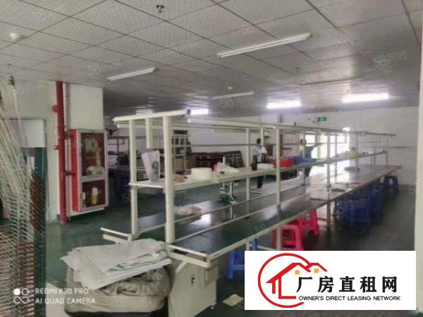  公明靠石岩长圳街道松白路边新出700平米精装修厂房招租