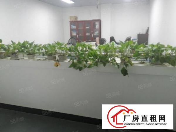  公明田寮新出楼上精装修900平厂房，纯办公仓库，价格实惠