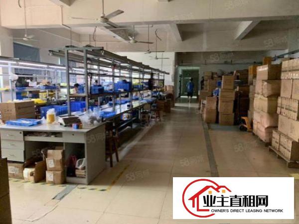  (松柏路边楼上原房东带装修厂房800平无转让费)光明公明