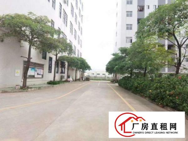  公明长圳新村楼上700平，有精装修办公室，车间仓库，拎包入住