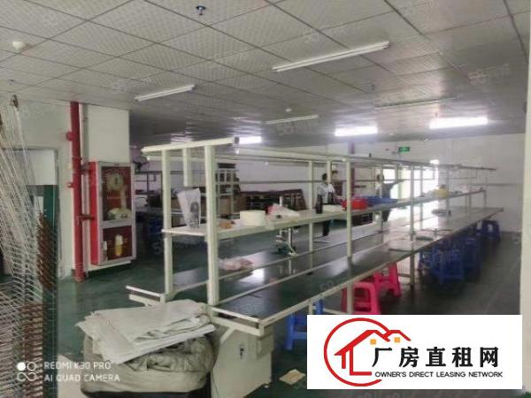  公明长圳新村楼上700平，有精装修办公室，车间仓库，拎包入住