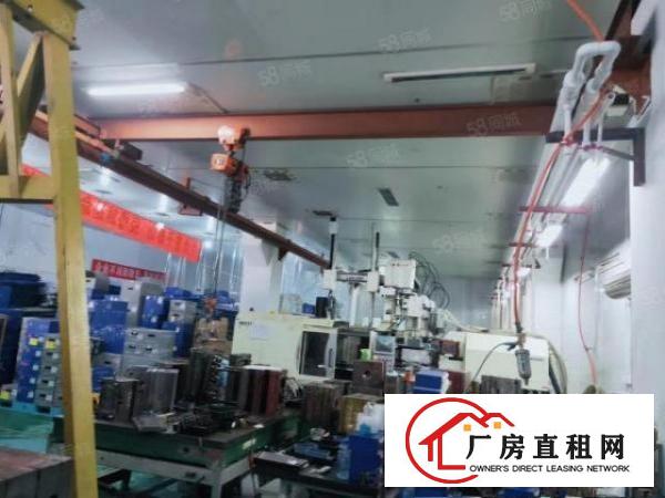  宝安石岩料坑新出6米高1楼带牛角出租