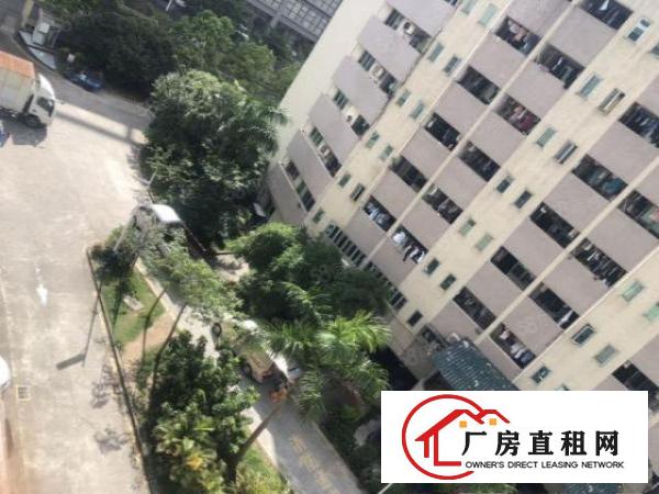  公明红本原房东厂房出租单层面积1700平方精装修可环评可分租