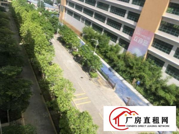  公明红本原房东厂房出租单层面积1700平方精装修可环评可分租