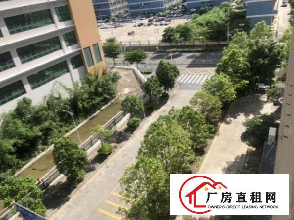  公明红本原房东厂房出租单层面积1700平方精装修可环评可分租