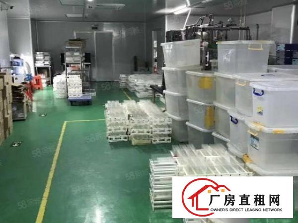  公明新出楼上带装修380平500平620平厂房出租