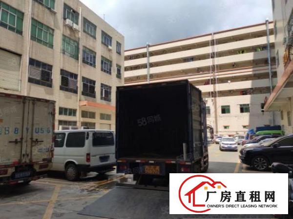  光明楼村鲤鱼河新出楼上320平方，一台3吨，一台2吨货梯