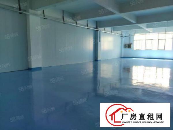  光明楼村鲤鱼河新出楼上320平方，一台3吨，一台2吨货梯