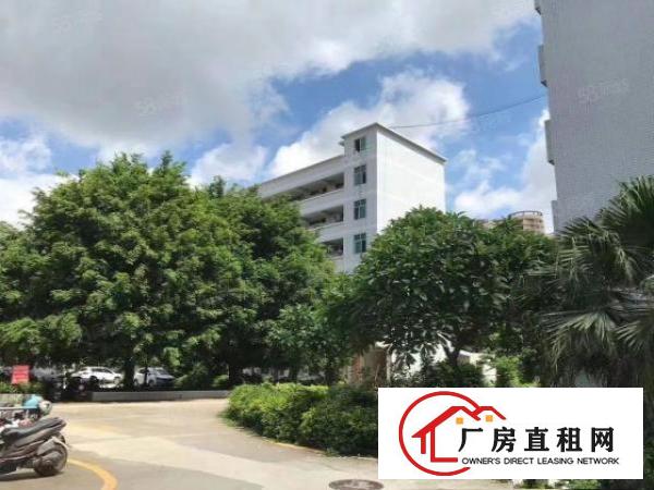  公明可办环评红本单层1500平方厂房一共三层出租