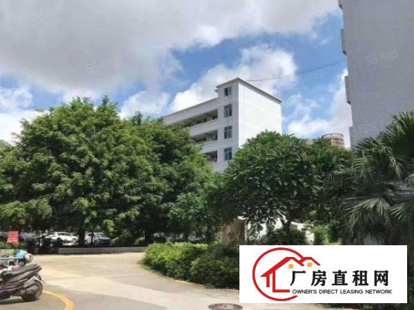  公明可办环评红本单层1500平方厂房一共三层出租