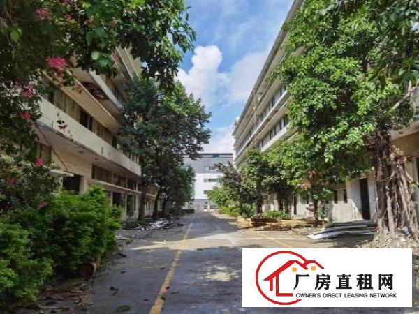  光明新区，新出独门独院五万平，可以分租，