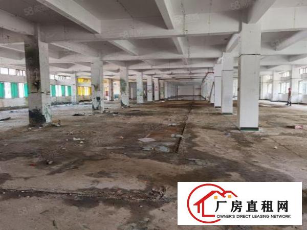  光明新区，新出独门独院五万平，可以分租，