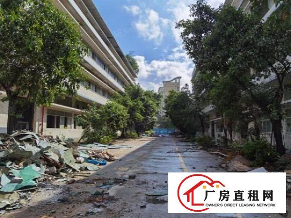  光明新区，新出独门独院五万平，可以分租，