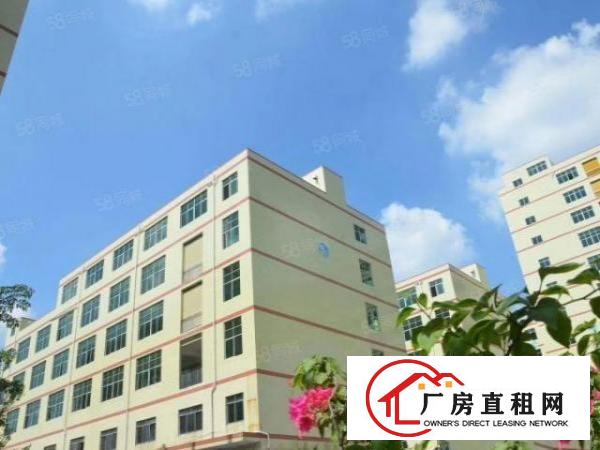 光明龙大高速旁楼上豪华装修厂房出租，水电到位，形象佳