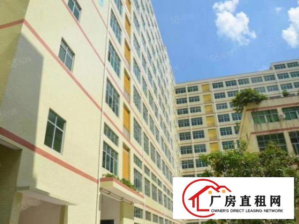  光明龙大高速旁楼上豪华装修厂房出租，水电到位，形象佳