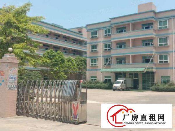  光明2楼3楼2250平精装厂房出租