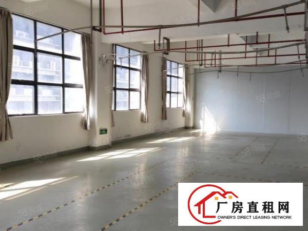  光明原房东全新红本独院出租可分层租可办环评临地铁口临高速出口
