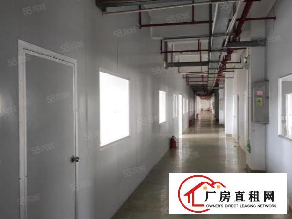  光明原房东全新红本独院出租可分层租可办环评临地铁口临高速出口