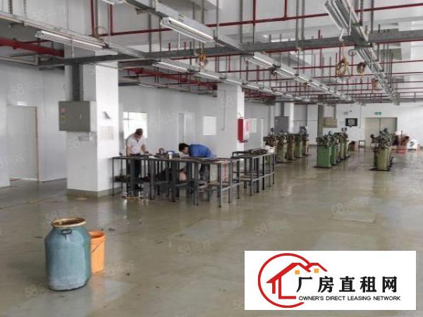 光明原房东全新红本独院出租可分层租可办环评临地铁口临高速出口