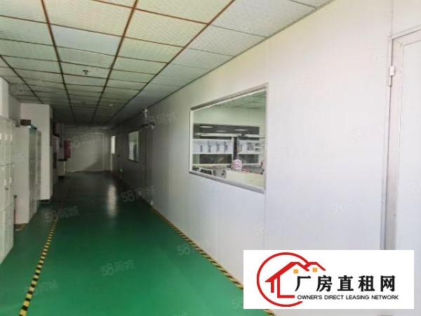  田寮新出红本洁净车间2000平，原房东厂房含税，无需转让费