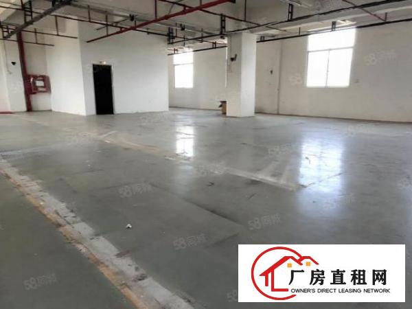  公明上村新出原房东楼上800平带精装修无转让费