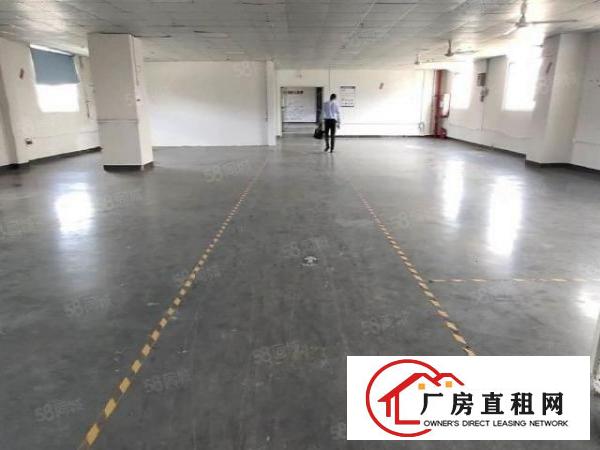  公明上村新出原房东楼上800平带精装修无转让费