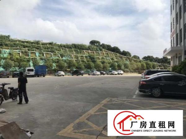  （原房东2，3楼各6000平大小面积按需现已空出）公明光明