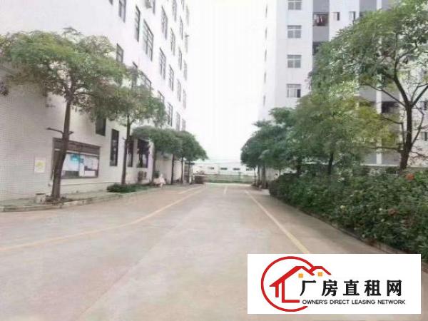  （原房东2，3楼各6000平大小面积按需现已空出）公明光明