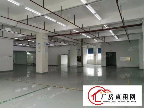  公明新出原房东3楼1100带精装修厂房出租！
