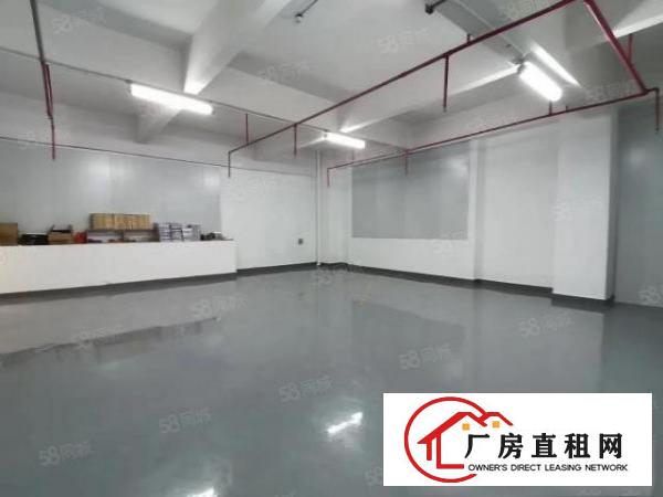  公明新出原房东3楼1100带精装修厂房出租！